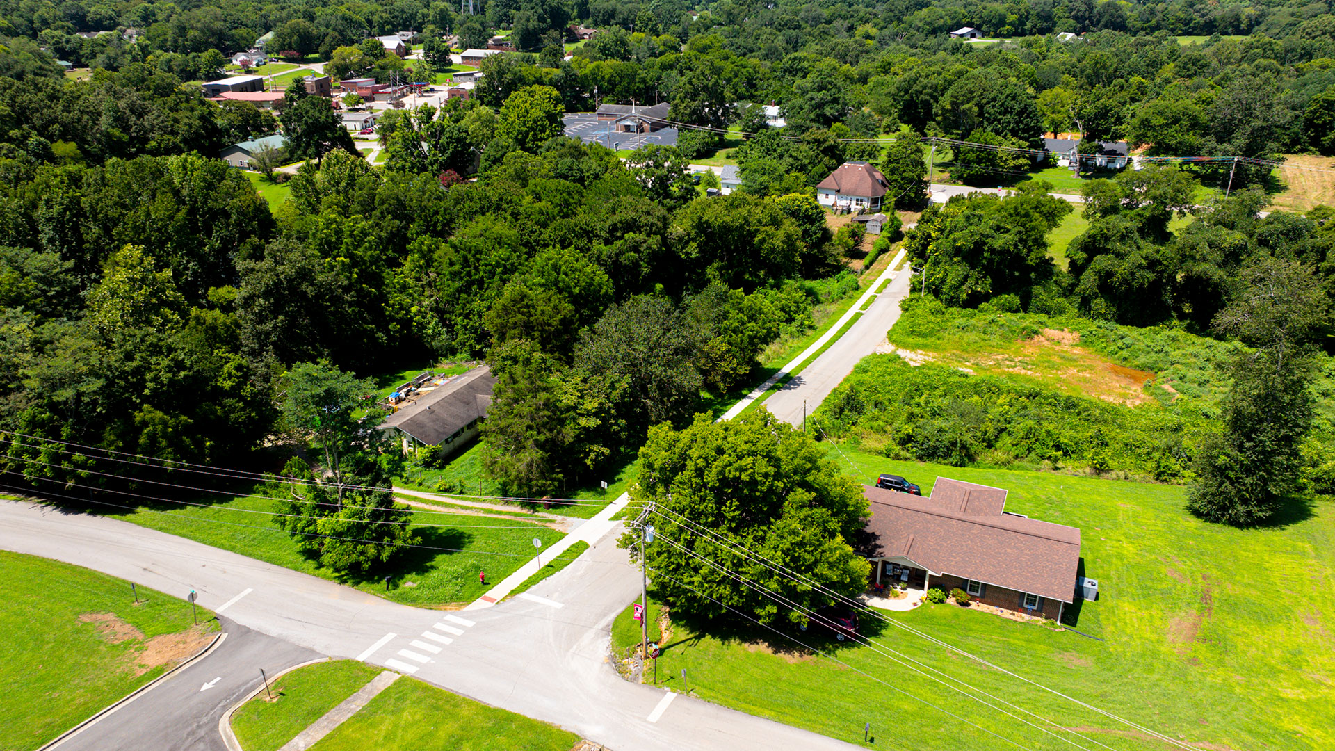 Morell-Still Elkmont 1