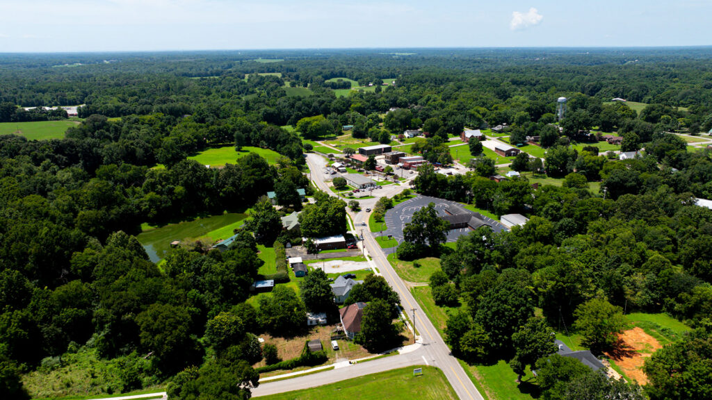 Morell-Still Elkmont 5